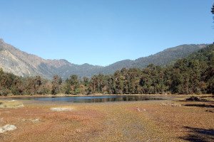 IMG20181107132535.jpg
