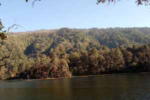 IMG20181107153228.jpg